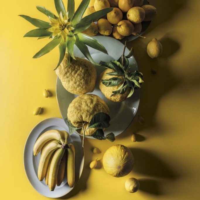 Balanced colors - Kleur: Serie Metal Essential - Zinc Yellow